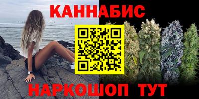 амф Гай