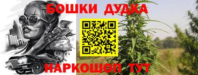 2c-b Гатчина