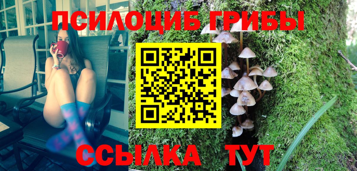 Псилоцибиновые грибы MAGIC MUSHROOMS Мыски